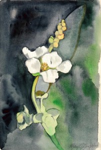 2013-10-07 134101_18